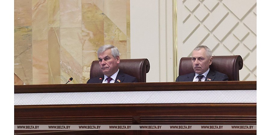 Выступление Андрейченко на открытии внеочередной сессии Палаты представителей Национального собрания седьмого созыва