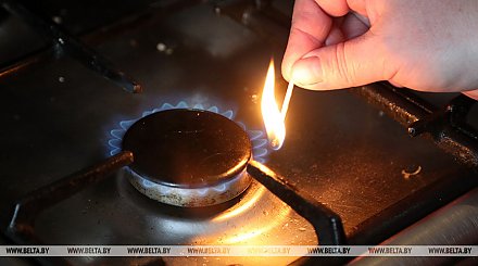 В Минэнерго прокомментировали слухи о задержке платежей за российский газ