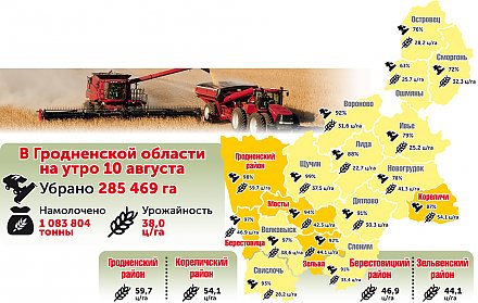 На утро 10 августа в Гродненской области намолочено 1 083 804 тонны зерна