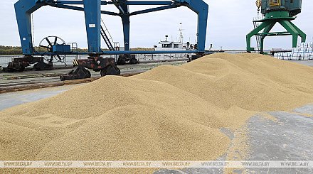 Россия заявила о готовности полностью заместить украинское зерно