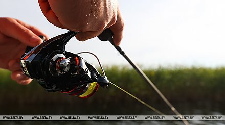 Рыболовный спорт Беларуси решено дополнить дисциплиной "ловля карпа"