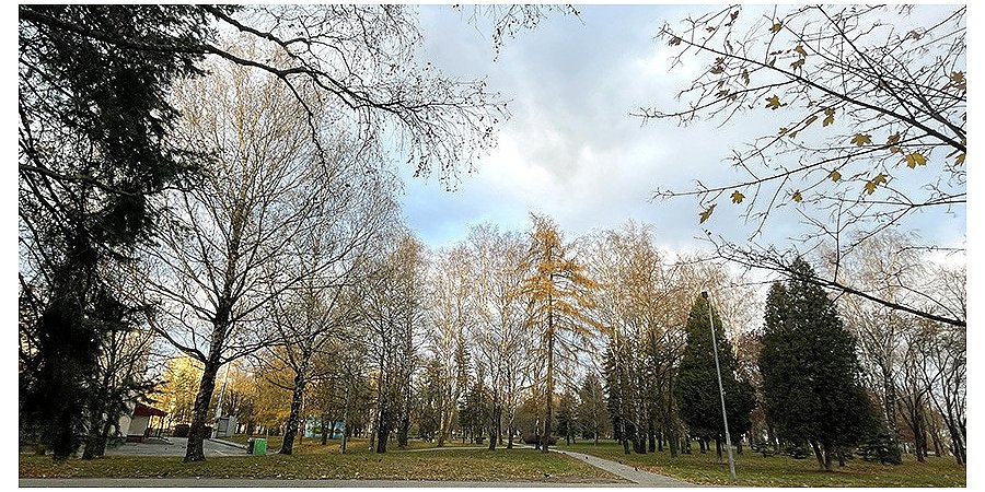 Ждать ли морозов? Рябов о погоде с 2 по 8 декабря