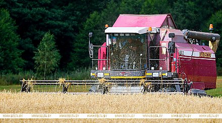 Белорусские аграрии намолотили 9 млн тонн зерна 