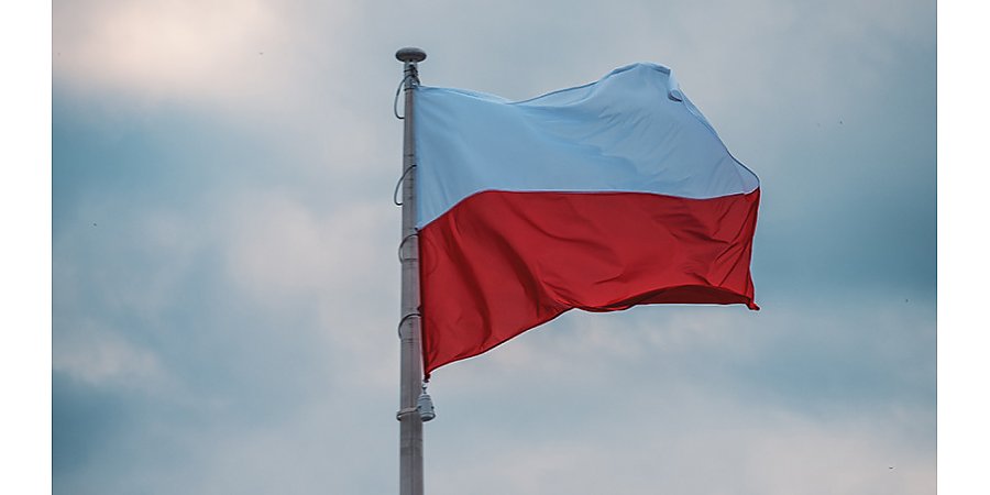 Полякам предложили собирать в лесу хворост для отопления из-за высоких цен на энергоносители