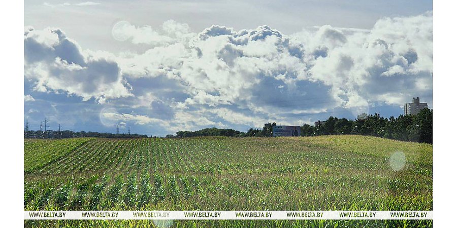 До +22°С будет сегодня в Беларуси