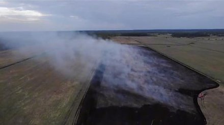 Спасатели работают на месте торфяного пожара в Кореличском районе