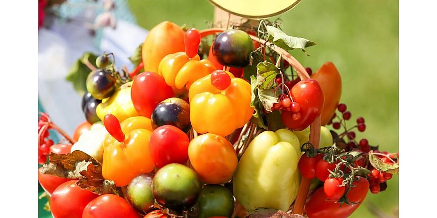 В Ивье установят памятник помидору