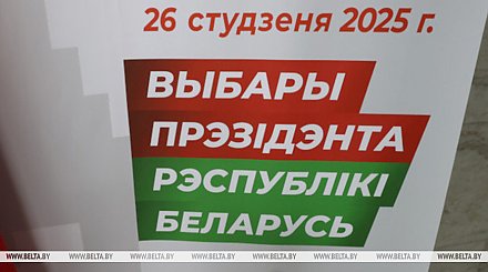 Наблюдатели от СНГ: агитационная кампания проходит в Беларуси спокойно и организованно