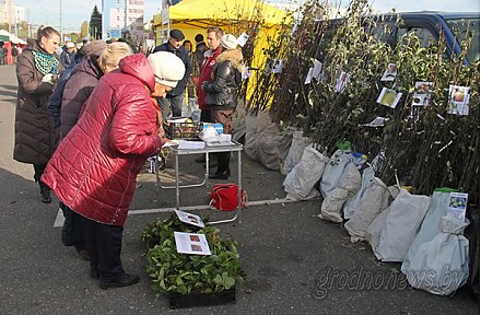 На Гродненщине в субботу пройдет «Бярозавы фэст»: будут сок, садовый инвентарь, семена и привлекательные цены!