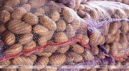 Минсельхозпрод: выращенной продукции будет достаточно для формирования стабфондов