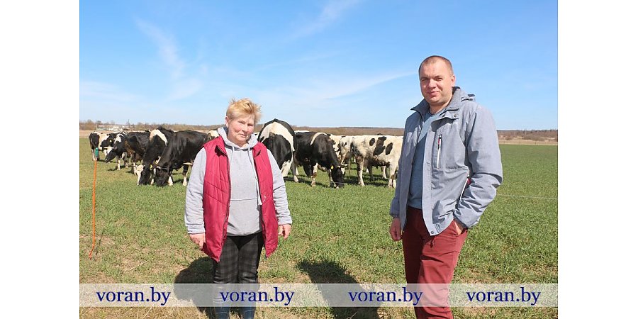 Молочные реки там, где зеленые берега