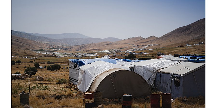 Украинские беженцы в Ирландии взбунтовались из-за требования властей платить за еду самостоятельно