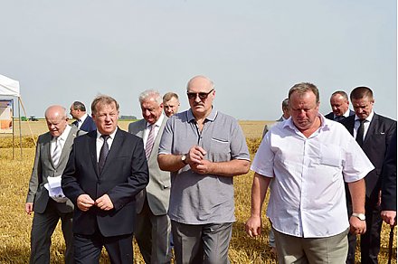 Тема недели: Уборочная – на контроле у Президента