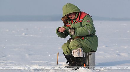 Запрет на лов налима в Беларуси устанавливается с 25 декабря