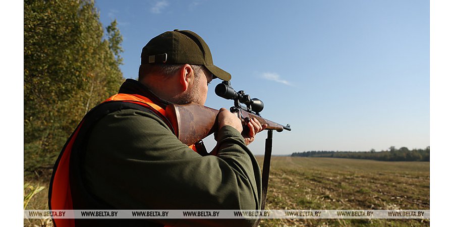 Летне-осенний сезон охоты на пернатую дичь откроется 12 августа