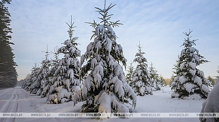 Оранжевый уровень опасности объявлен в Беларуси 9 февраля из-за сильного снега и порывистого ветра