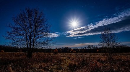 Лунный посевной календарь на апрель 2026 года: не упустите удачные дни