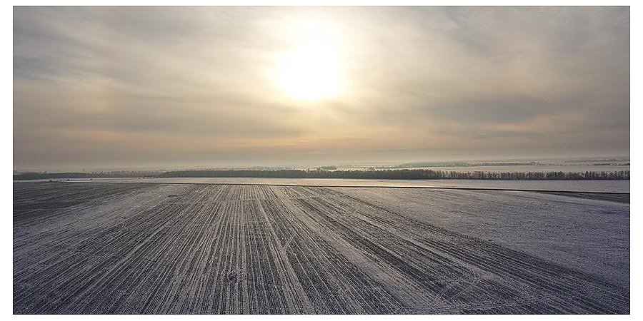 Минсельхозпрод: почти половина органических удобрений уже вывезена на поля
