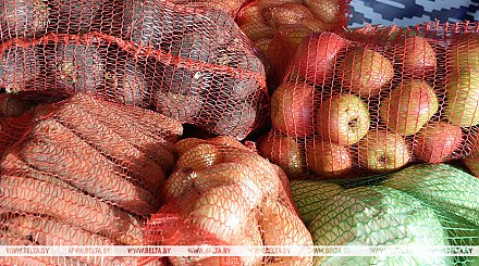 Сколько овощей заложено в стабфонды страны и по каким ценам их продают, рассказали в МАРТ