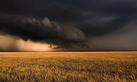 Сильные грозы, шквалистый ветер и жара до 30 по Цельсию. Белгидромет объявил штормовое предупреждение