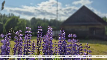 Стоит ли ехать на природу? Погода 20 июня порадует белорусов солнцем и теплом
