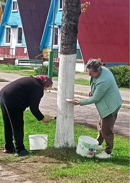 Навстречу лету