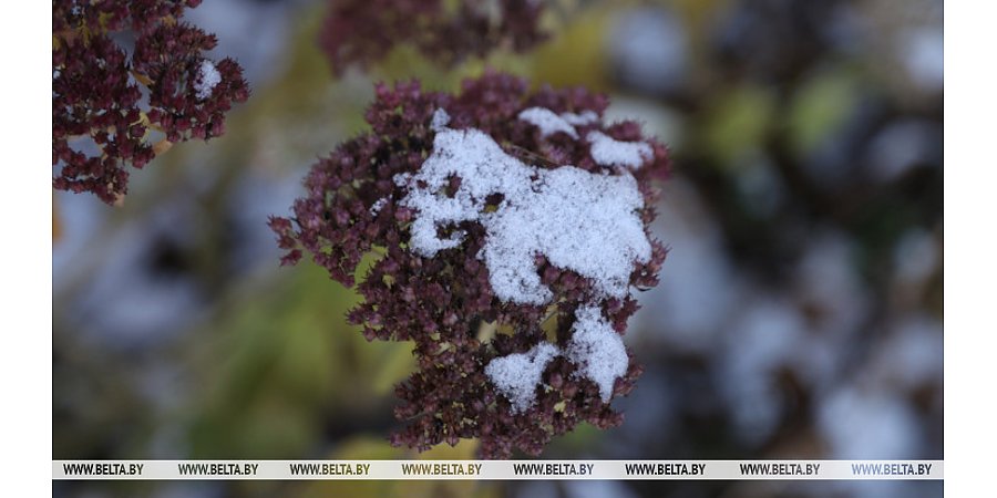 Кратковременные дожди и мокрый снег ожидаются сегодня в Беларуси