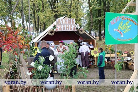 “Карнавал весялосці” в Вороново (Фото)
