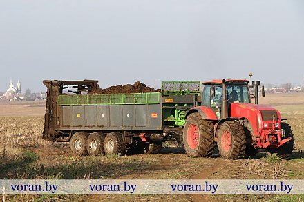 Резервы плодородия: в КСУП «Дотишки» вносят органику
