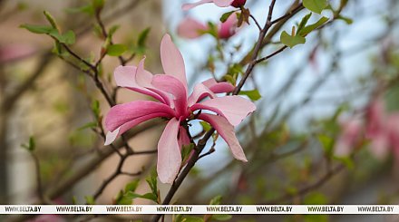 Будет ли солнце на больших выходных? Рябов о погоде на неделю с 28 апреля по 4 мая