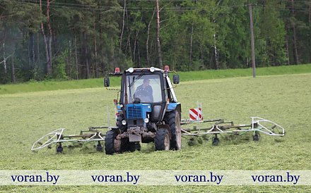 Качественная кормозаготовка —  сытая зимовка