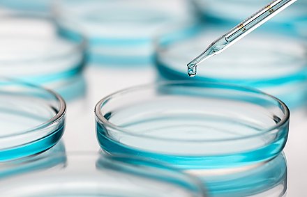 В Великобритании выявили более заразный подтип «омикрона»