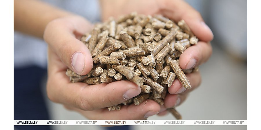 "Пеллеты и еще раз пеллеты!" Почему Лукашенко требует наладить производство древесного биотоплива