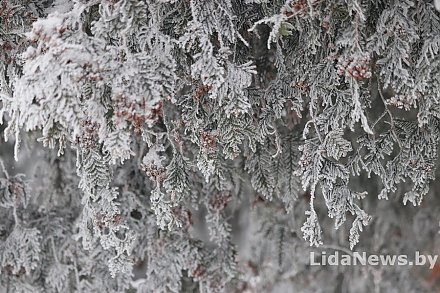 Календарь праздников и дат с 8 по 27 февраля