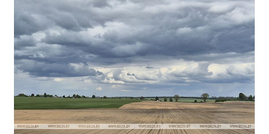 Ночные заморозки? Какой будет погода в Беларуси 19 мая