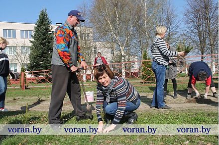 По долгу и зову сердца