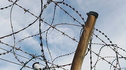 Минобороны и МВД Литвы планируют провести комплексное усиление охраны границы