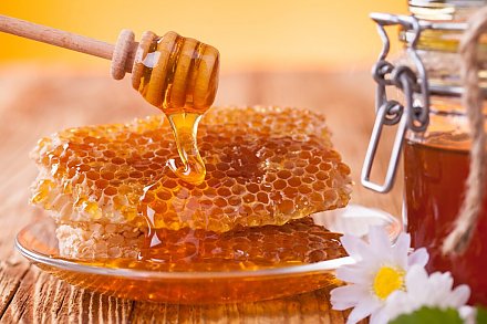 Как отличить натуральный мед от подделки: методика белорусских ученых и советы пчеловодов