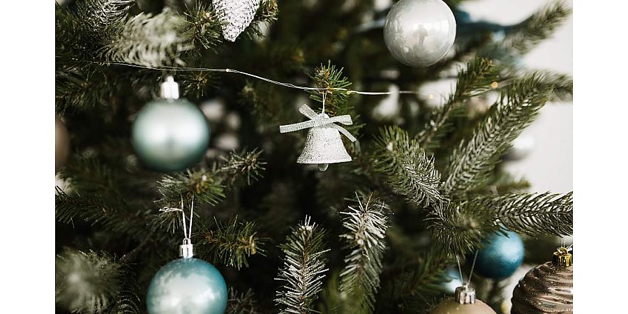 Как продлить жизнь новогодней елки?