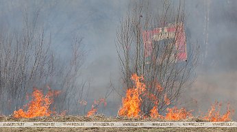 За сутки в Беларуси ликвидировано 17 возгораний в экосистемах