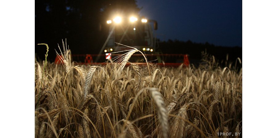 Есть вопросы по уборочной или нужна оперативная помощь? Обратиться можно к профсоюзам