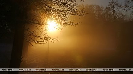 Ночные морозы до - 6°С ожидаются в Беларуси 27 ноября