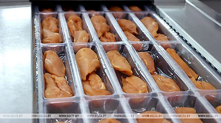 Минсельхозпрод: уровень самообеспечения по мясу птицы в Беларуси составляет 185%