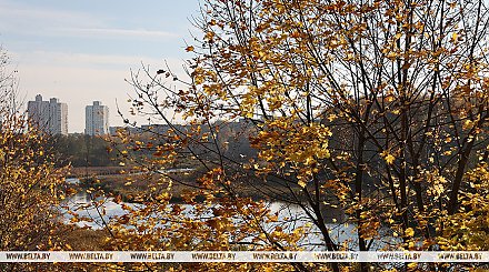 Облачно с прояснениями, до +17°С по юго-западу будет сегодня в Беларуси