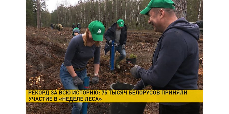 В акции «Неделя леса» приняли участие 75 тысяч белорусов