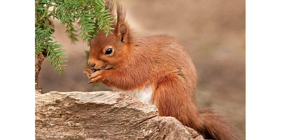 Народные приметы на 26 января 2025: что можно и нельзя делать в этот день