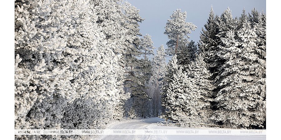Температурные качели в Беларуси: когда опять будем сильно мерзнуть