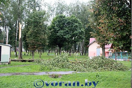 На Вороновский район обрушился шквалистый ветер