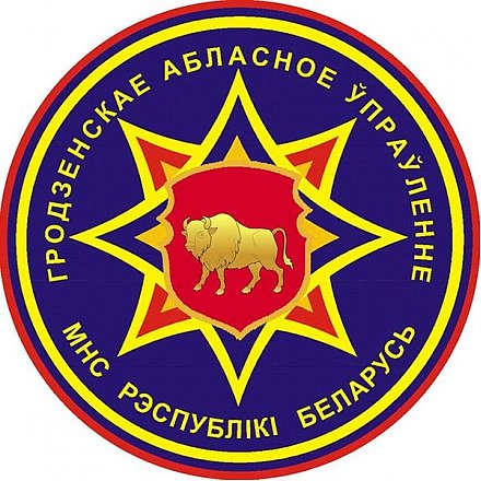 С 20 февраля по 1 марта в Гродненской области пройдет акция «Единый день безопасности»