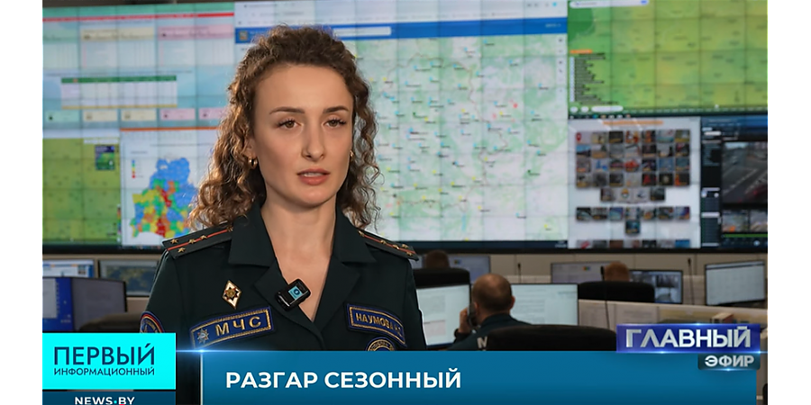 "Не оставлять, затушить, очищать". МЧС напомнило о правилах поведения в пожароопасный период